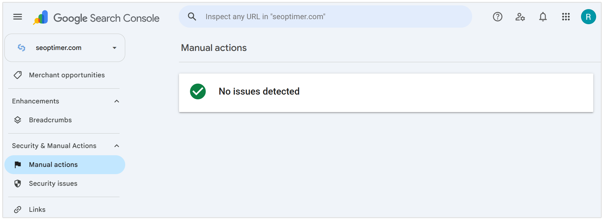 GSC manual actions